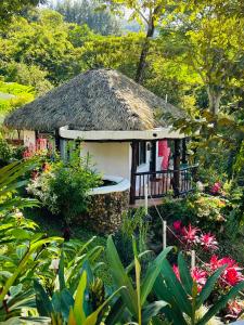 FilipinaVilla La Fortuna的花园中带茅草屋顶的小房子