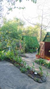 圣路易斯Camping D'Tente Paradise的种有植物的花园,建筑和树木
