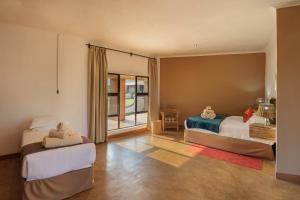 利文斯顿The Nkhosi Livingstone Lodge and Spa的一间卧室设有两张床和窗户。