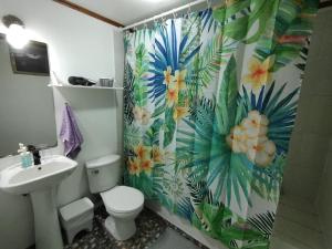 安加罗阿Cabaña Uka Moana的浴室设有淋浴帘、卫生间和水槽