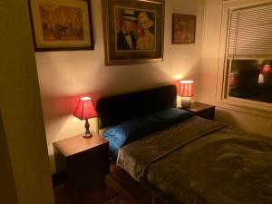 拉法叶Dr. Yaple's Art Deco House的一间卧室配有一张床和两张带台灯的桌子。