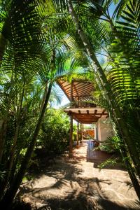 巴里查拉Achiotte by Masaya的四周环绕着棕榈树的木制凉亭