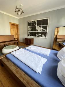 莱比锡地球家园旅舍的一张大蓝色的床,位于带桌子的房间
