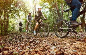 阿尔杰什河畔库尔泰亚Dynamic Bike Home的三人骑着自行车在树林里的小径上