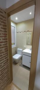 里亚萨Apartamento San Juan的一间带卫生间、水槽和镜子的浴室