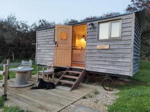 NewchurchUnder the Stars Shepherds Huts at Harbors Lake的一只狗躺在小房子前面的木甲板上