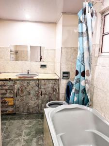 波托西HOSTAL SAN MARCOS POTOSÍ的带浴缸、卫生间和盥洗盆的浴室
