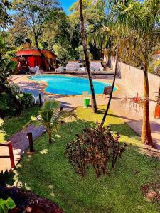 伊瓜苏港ARASARÍ Hotel Iguazú的庭院内棕榈树游泳池