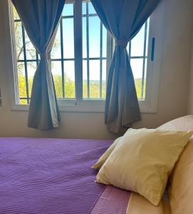 科尔多瓦El Satélite的一间卧室配有蓝色窗帘和一张带枕头的床