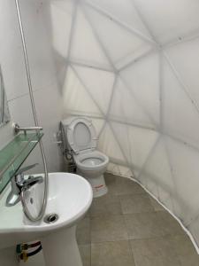萨帕Daisy SaPa - Venuestay的白色的浴室设有卫生间和水槽。