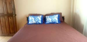 别霍港Pacos Place的床上有2个蓝色枕头