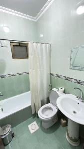瓦迪穆萨Sara apartment的浴室配有白色卫生间和盥洗盆。