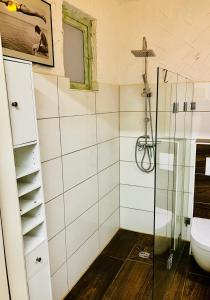 不莱梅Zentrales und ruhiges Apartment im beliebtesten Bremer Viertel的带淋浴和卫生间的浴室