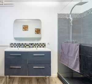 图卢兹Appartement T4 central quartier Saint-Georges -Le Picomax-的浴室配有蓝色水槽和淋浴。