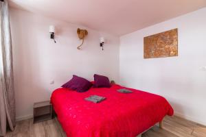 图卢兹Appartement T4 central quartier Saint-Georges -Le Picomax-的一间卧室配有红色的床和红色毯子