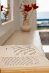 洛加拉斯Aura Paros的坐在桌子上的一本书,花瓶