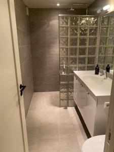 奥斯陆Rom # 1 Appartmenthotell Oslo的带淋浴、盥洗盆和卫生间的浴室