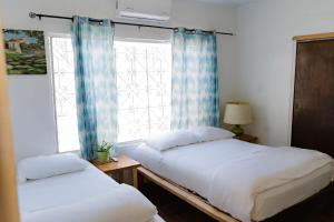 圣何塞德尔卡沃Desert Heart Hostel的两张床位于带窗户的房间内