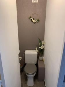 维拉尔-德朗Appartement cocooning的一间带卫生间的小浴室,墙上挂着鲜花