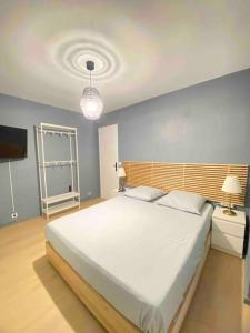 戛纳Le Sun Valley - Vidéoprojecteur et Terrasse Zen的卧室配有一张白色大床和电视。