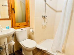 DurroApartament Immovall的浴室配有卫生间、盥洗盆和淋浴。
