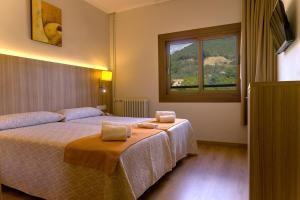 博尔塔纳Hotel Boltaña Ordesa的一间卧室设有两张床和窗户。