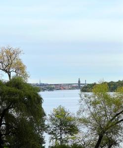 斯德哥尔摩Apartment with amazing view的河上桥,前沿有树木