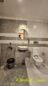 阿勒皮Charlotte Cruise House Boat的一间带水槽、卫生间和镜子的浴室