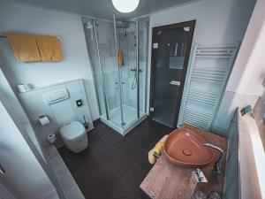 埃姆登Restaurant Hotel Goldener Adler的一间带卫生间和淋浴的小浴室