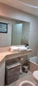 布宜诺斯艾利斯Dg Apart Obelisco的浴室设有镜子、盥洗盆和卫生间