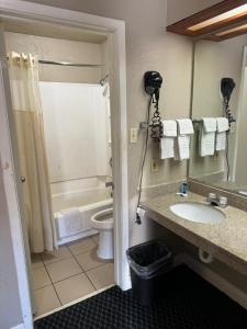 圣安东尼奥圣安东尼奥霍姆盖特一室公寓及套房酒店的一间带水槽、卫生间和淋浴的浴室