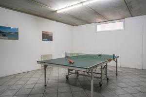 拉瓦罗内Giongo Residence Aparthotel 101的乒乓球桌,带乒乓球桌的房间