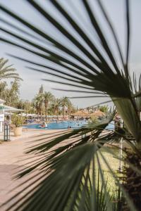 马拉喀什Kenzi Menara Palace & Resort的棕榈树度假村的游泳池景