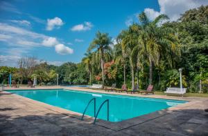 圣萨尔瓦多德朱图斯德拉韦纳酒店的一个带椅子的游泳池,棕榈树