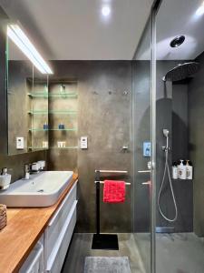 布拉格Jana's apartment, free parking的一间带水槽和淋浴的浴室