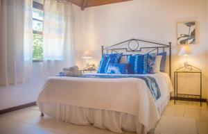布希奥斯纳莫拉多酒店的一间卧室配有一张带蓝色枕头的大床