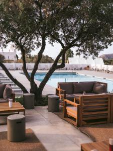 卡达克斯wecamp Cadaqués的一个带长沙发、桌子和树木的游泳池