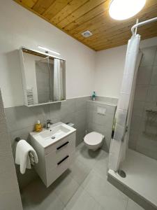 迈林根Pension Balm的一间带水槽、卫生间和淋浴的浴室