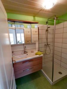 NiederaigenWaldhaus Klein-Veitsch, Auszeit im Grünen的一间带水槽和淋浴的浴室