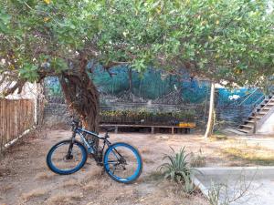 巴尔Hostal El Nido del Azulejo的停在公园树下的一个自行车