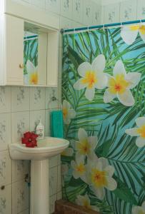 安加罗阿Hostal y Cabañas Aorangi的浴室设有水槽和鲜花淋浴帘