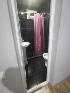 巴统Apartment on Lado Asatiani的浴室设有卫生间和粉红色的淋浴帘