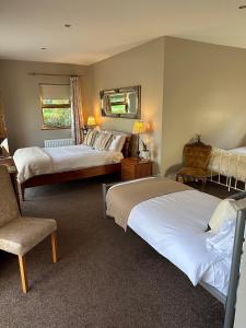 希尔斯伯勒Dunhill Cottage B&B的酒店客房,配有两张床和椅子
