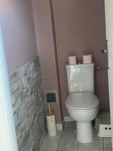 PlatsJOLI GÎTE ARDÈCHOIS的浴室设有卫生间,上面有粉红色的毛巾