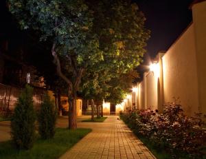 蒂拉斯波尔城市俱乐部酒店 的砖砌的路边,晚上有树木和建筑