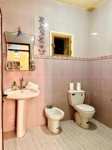 OunaraBelle villa privé的一间带水槽、卫生间和镜子的浴室