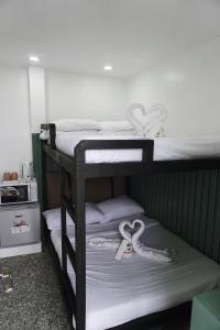 宿务Cebu Backpackers Hostel的两套带心的双层床