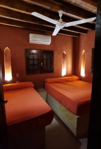 TunisStudio house的配有橙色墙壁和天花板的客房内的两张床