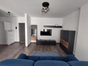 普洛耶什蒂Raluca cozy apartment's的客厅配有蓝色的沙发和电视