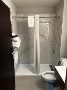 亚特兰大亚特兰大机场温德姆酒店的带淋浴和卫生间的浴室